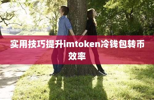 实用技巧提升imtoken冷钱包转币效率