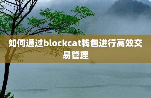 如何通过blockcat钱包进行高效交易管理