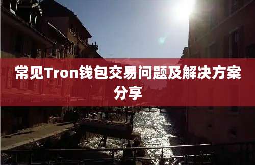 常见Tron钱包交易问题及解决方案分享