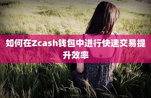 如何在Zcash钱包中进行快速交易提升效率