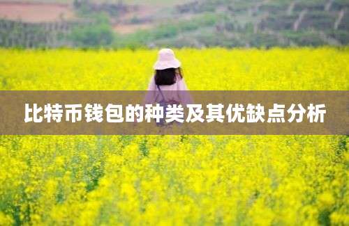 比特币钱包的种类及其优缺点分析