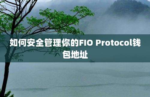 如何安全管理你的FIO Protocol钱包地址