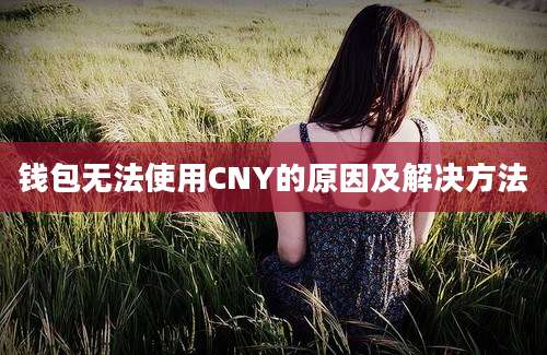 钱包无法使用CNY的原因及解决方法