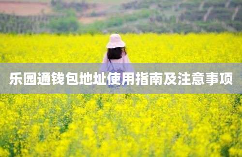 乐园通钱包地址使用指南及注意事项