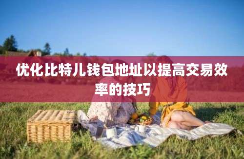 优化比特儿钱包地址以提高交易效率的技巧