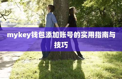 mykey钱包添加账号的实用指南与技巧