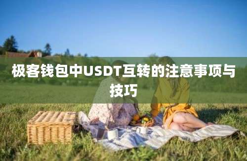 极客钱包中USDT互转的注意事项与技巧