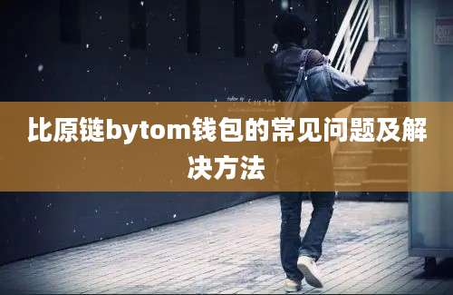 比原链bytom钱包的常见问题及解决方法