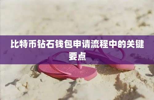 比特币钻石钱包申请流程中的关键要点