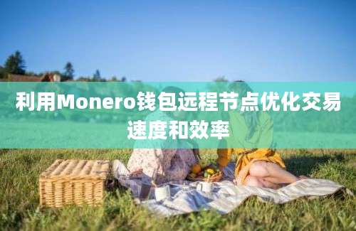 利用Monero钱包远程节点优化交易速度和效率