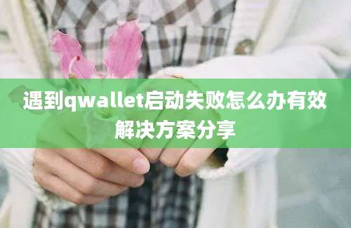 遇到qwallet启动失败怎么办有效解决方案分享