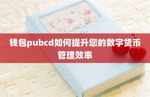 钱包pubcd如何提升您的数字货币管理效率