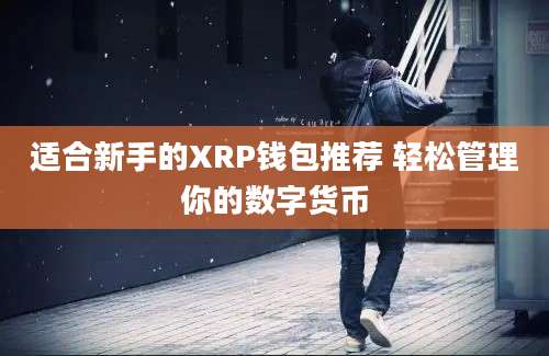 适合新手的XRP钱包推荐 轻松管理你的数字货币