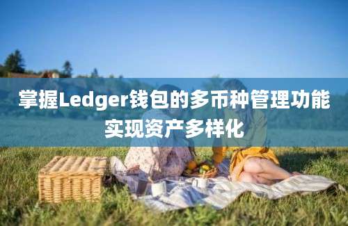 掌握Ledger钱包的多币种管理功能实现资产多样化