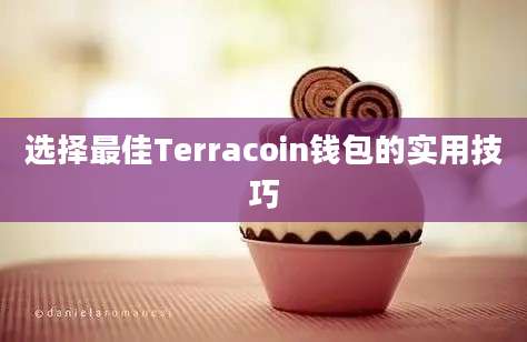 选择最佳Terracoin钱包的实用技巧