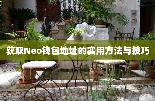 获取Neo钱包地址的实用方法与技巧