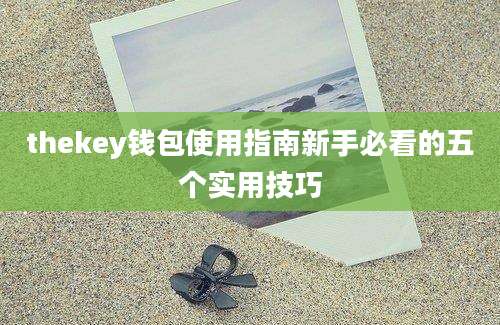 thekey钱包使用指南新手必看的五个实用技巧