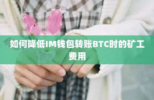 如何降低IM钱包转账BTC时的矿工费用