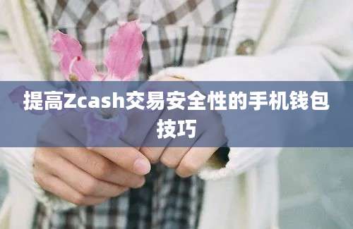 提高Zcash交易安全性的手机钱包技巧