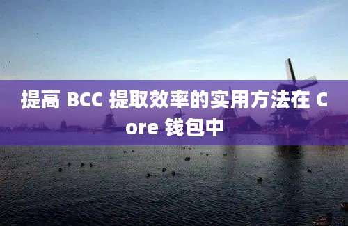 提高 BCC 提取效率的实用方法在 Core 钱包中