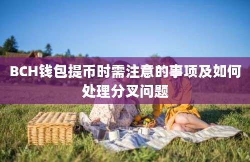 BCH钱包提币时需注意的事项及如何处理分叉问题