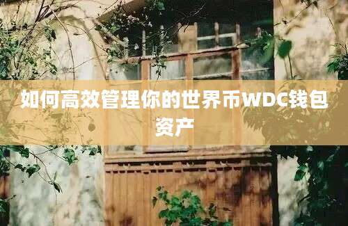 如何高效管理你的世界币WDC钱包资产