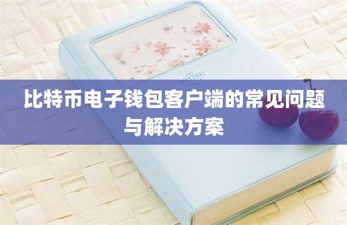 比特币电子钱包客户端的常见问题与解决方案