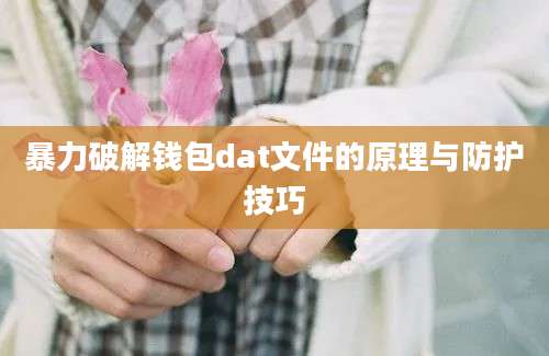 暴力破解钱包dat文件的原理与防护技巧