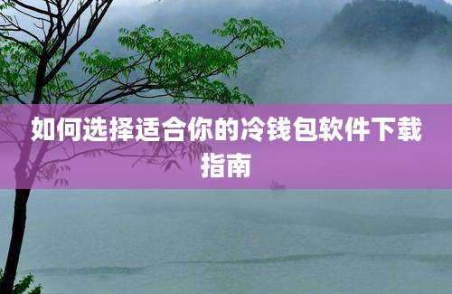 如何选择适合你的冷钱包软件下载指南