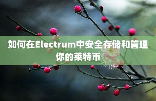 如何在Electrum中安全存储和管理你的莱特币