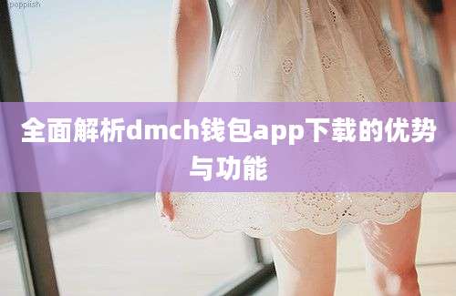 全面解析dmch钱包app下载的优势与功能